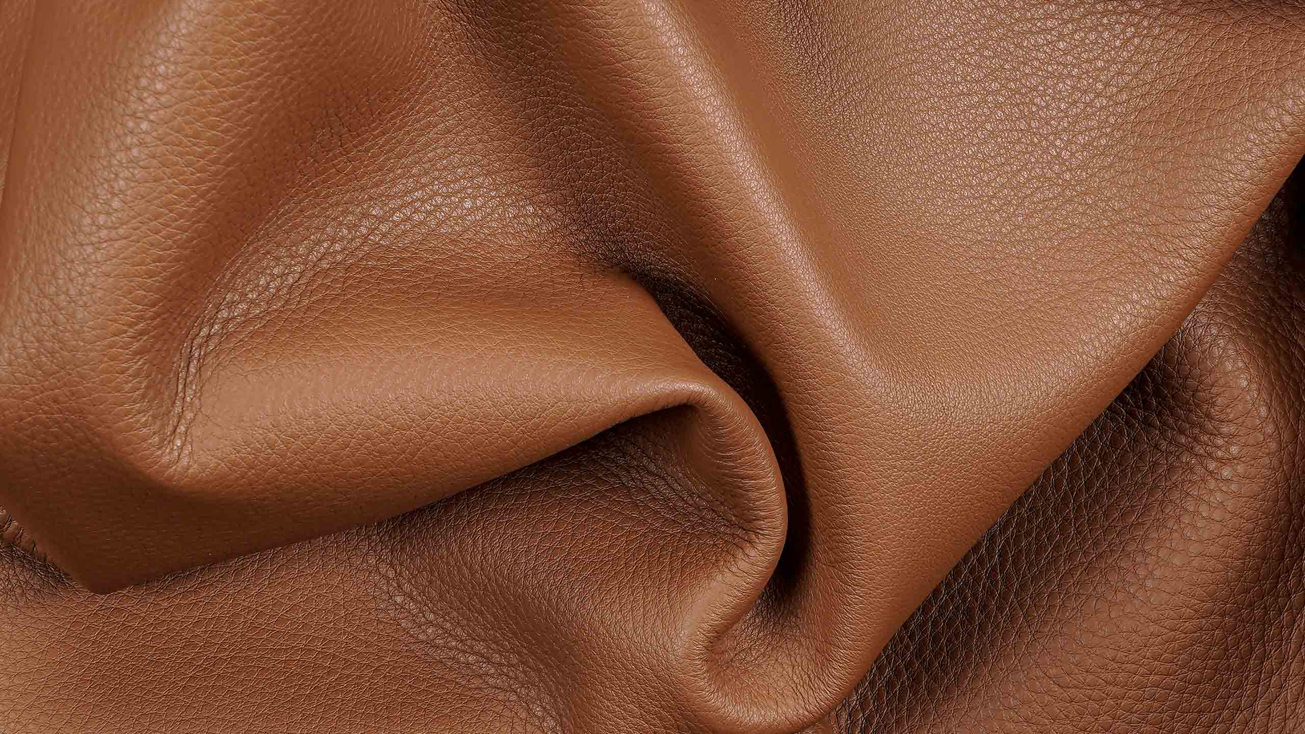 fabricantes-distribuidores-de-pieles-premiu-espana-barcelona