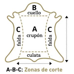 Zonas de corte piel curtida, cuello falda grupon culata, distribuidores en Barcelona