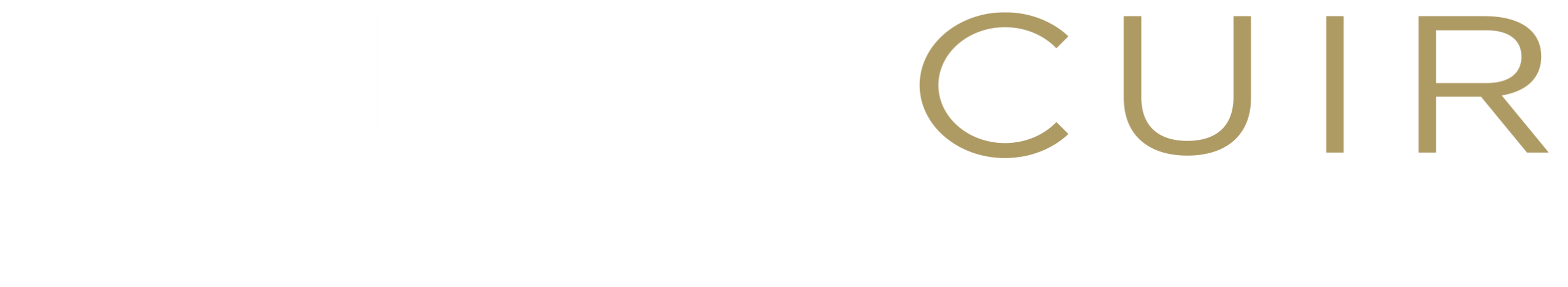 Logo-nuevo-scaled